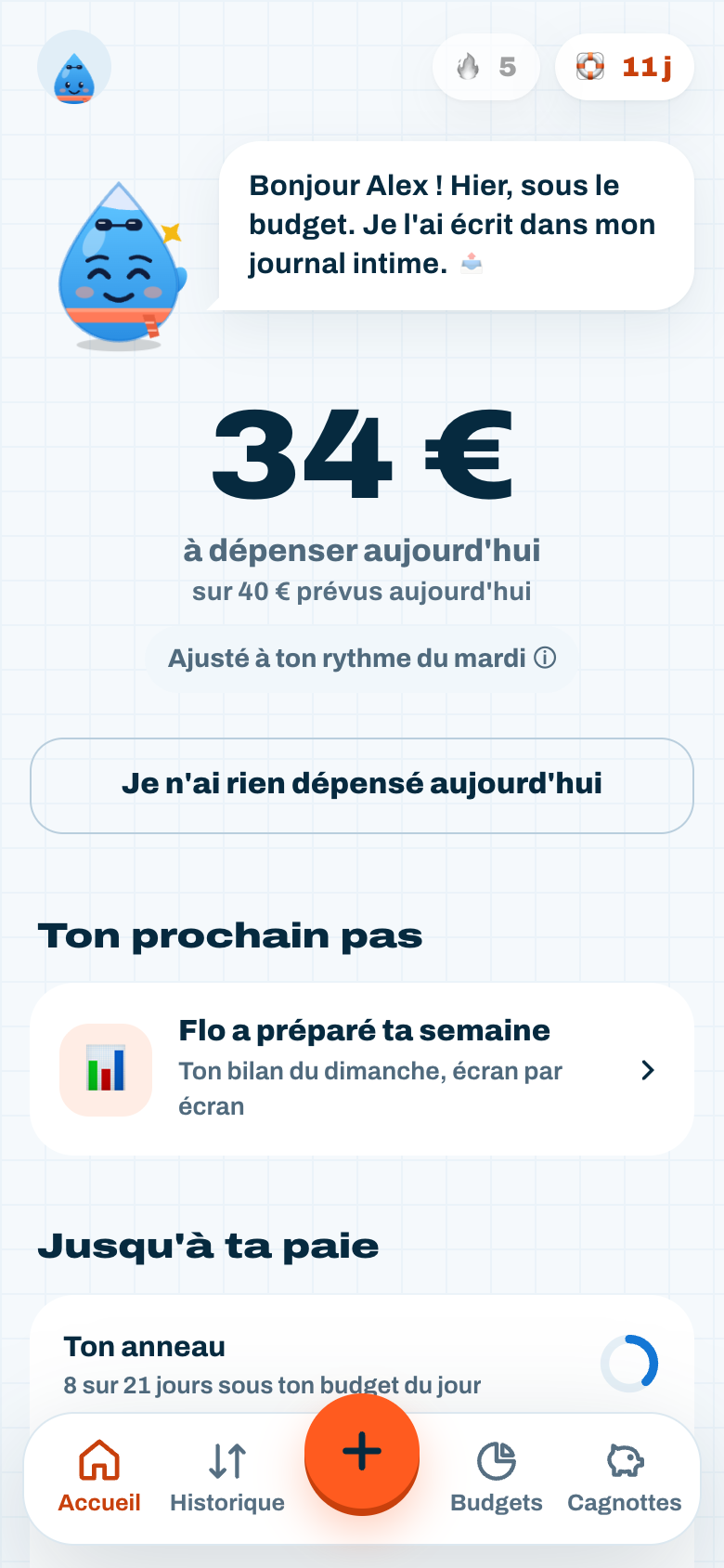 Capture d'écran de Flux : accueil : le budget du jour