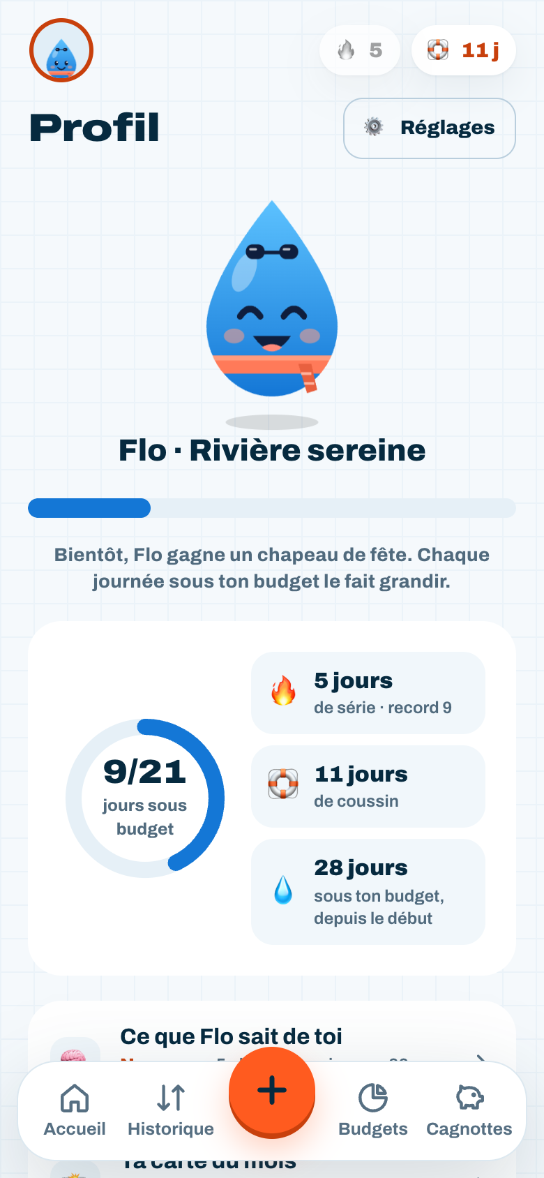 Capture d'écran de Flux : la page Profil, avec la série, l'anneau et le total des jours sous budget