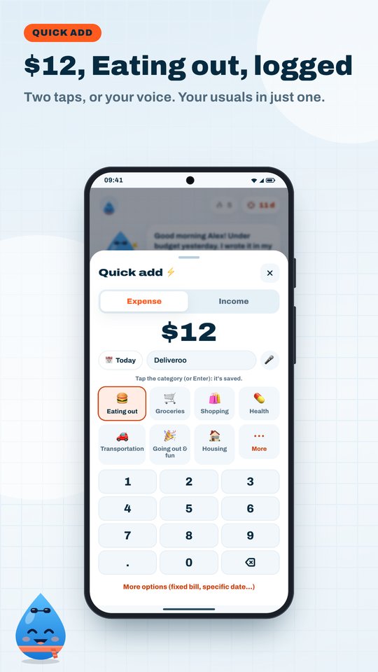 Quick add: type the amount, tap a category.
